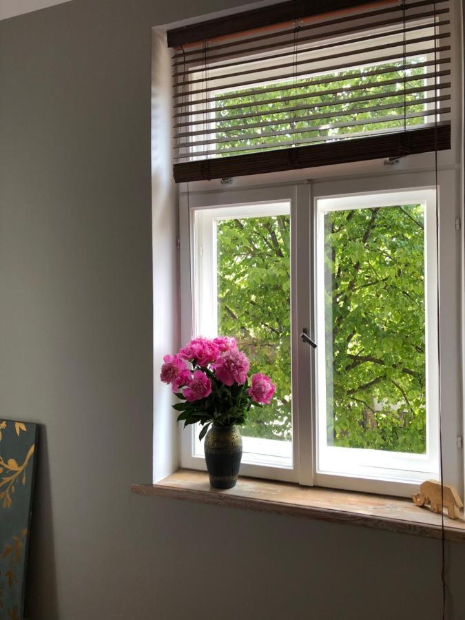 Bohemian Apartment In The Heart Of Old Ventspils City 외부 사진